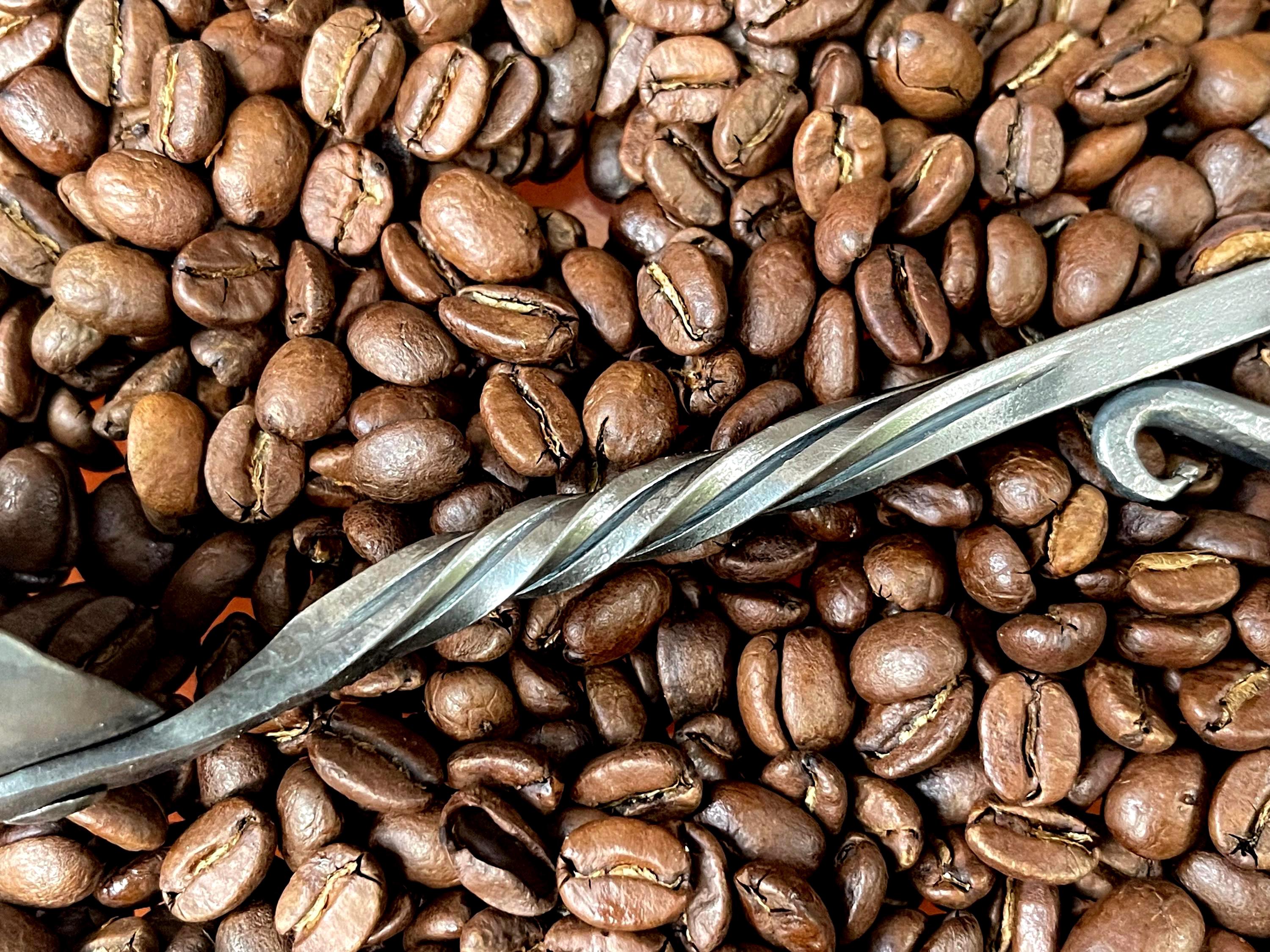 Hand-forged Coffee Scoop