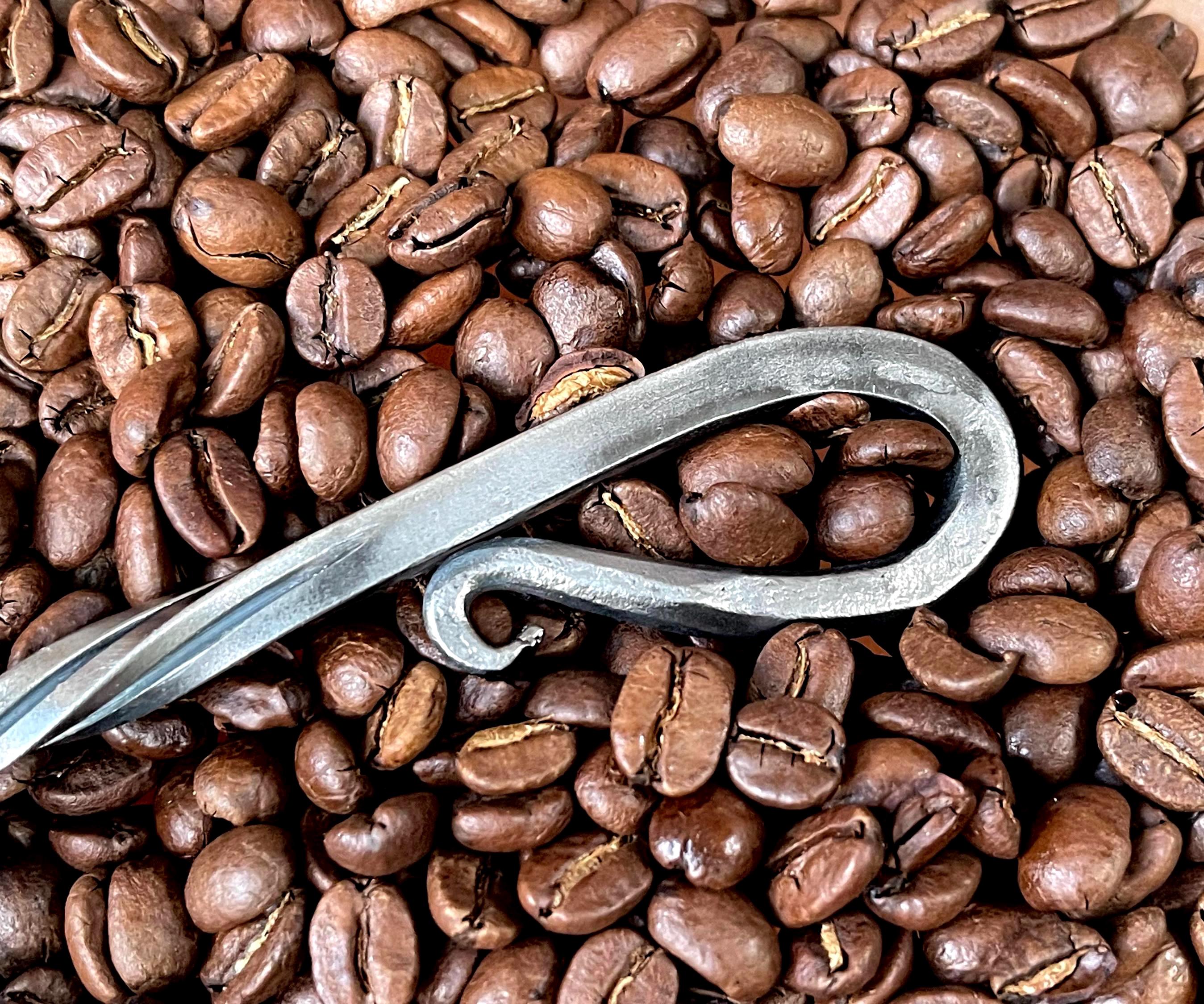 Hand-forged Coffee Scoop